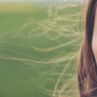 File description here